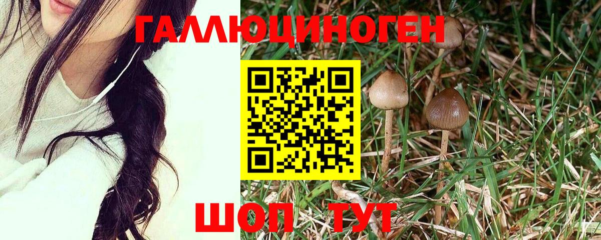 Галлюциногенные грибы Magic Shrooms  Вход с VPN  Ленинск-Кузнецкий 