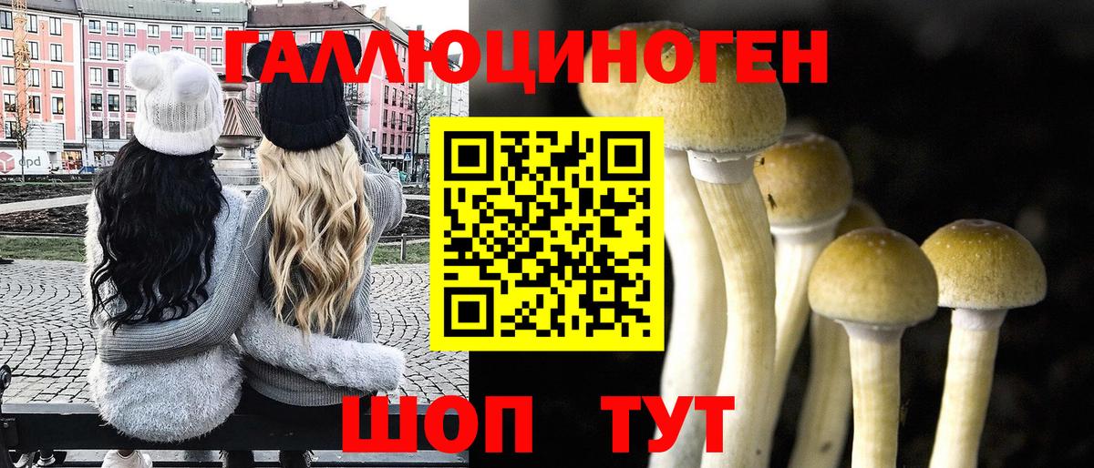 Псилоцибиновые грибы мухоморы Ленинск-Кузнецкий